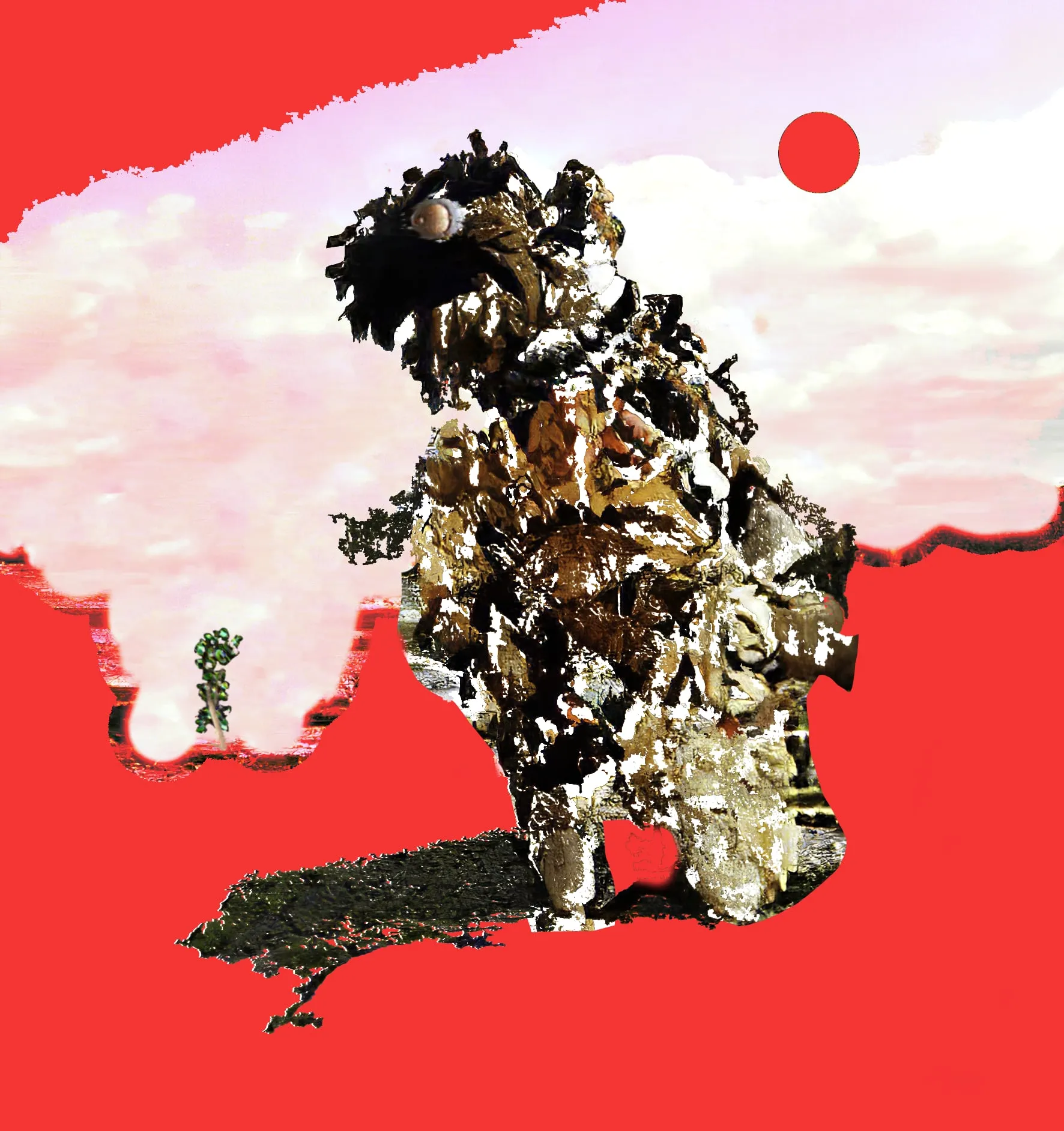 A Treloid looking for home