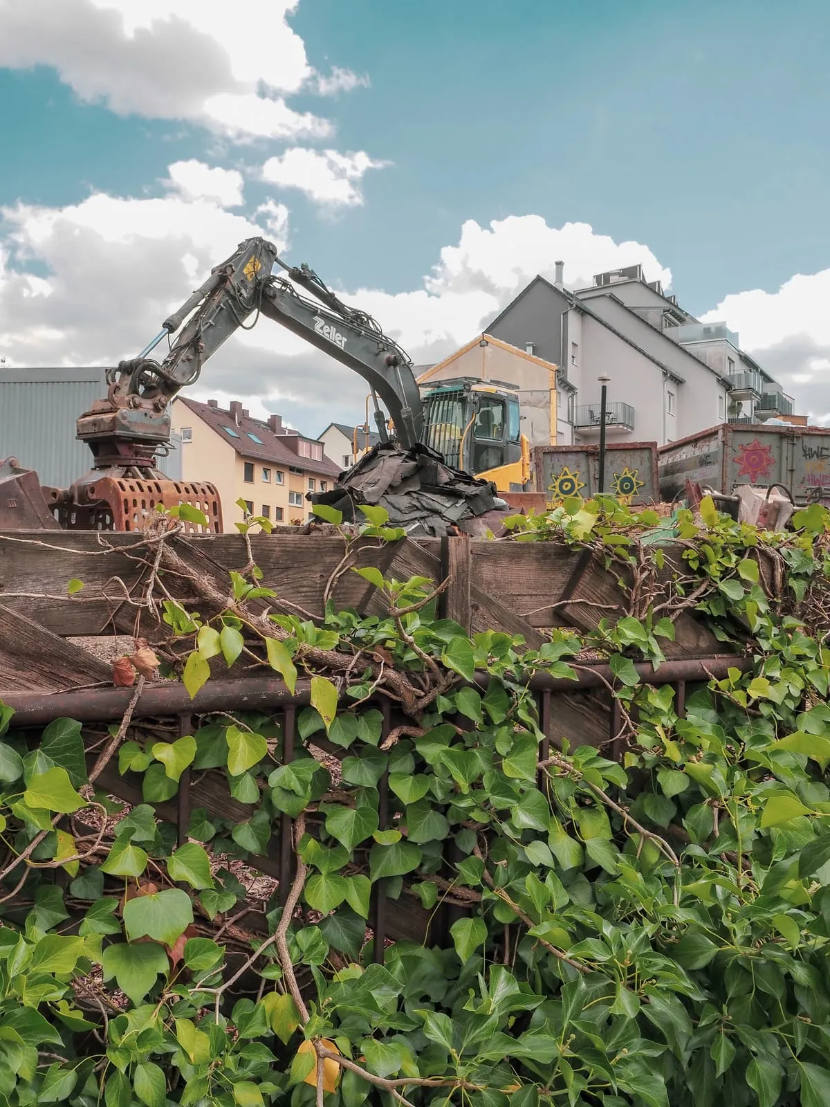 Ivy over a wall, an excavator arm behind it, 2020