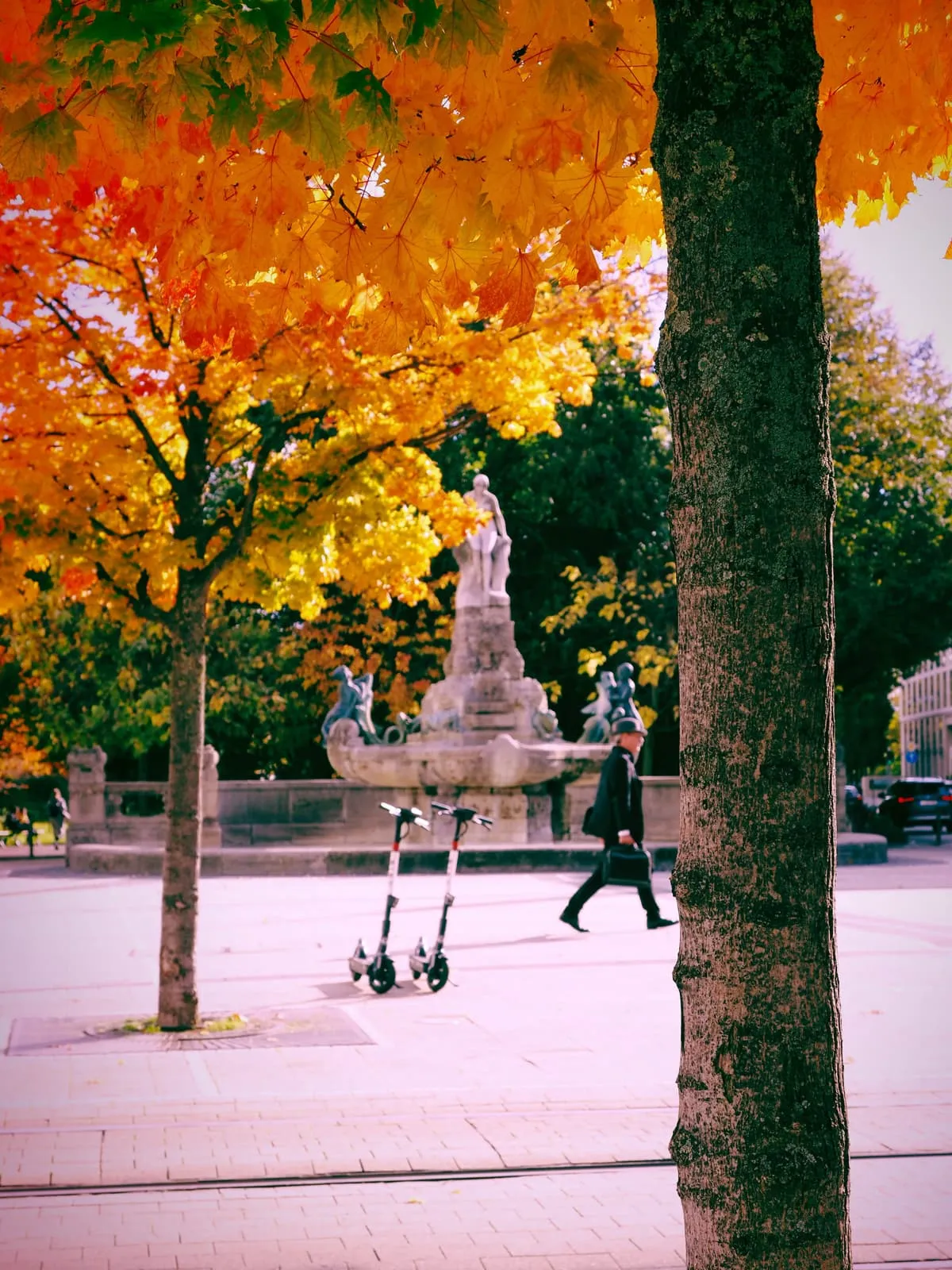 Orange maple over pink paving, a walker and two scooters, 2021
