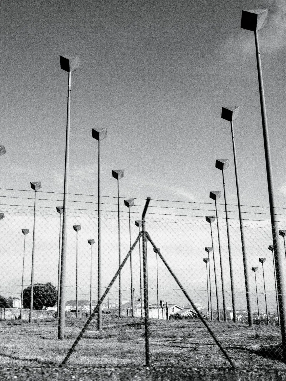 Black and white field of tall lamp posts behind a fence, 2024