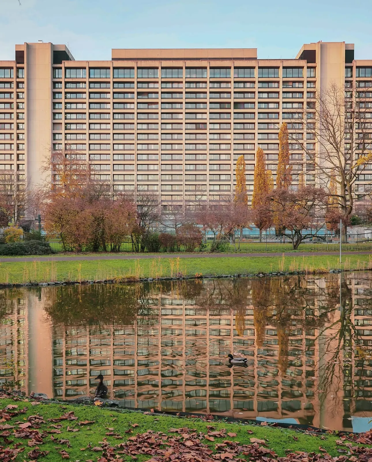 Long office block mirrored in a pond in autumn, 2020
