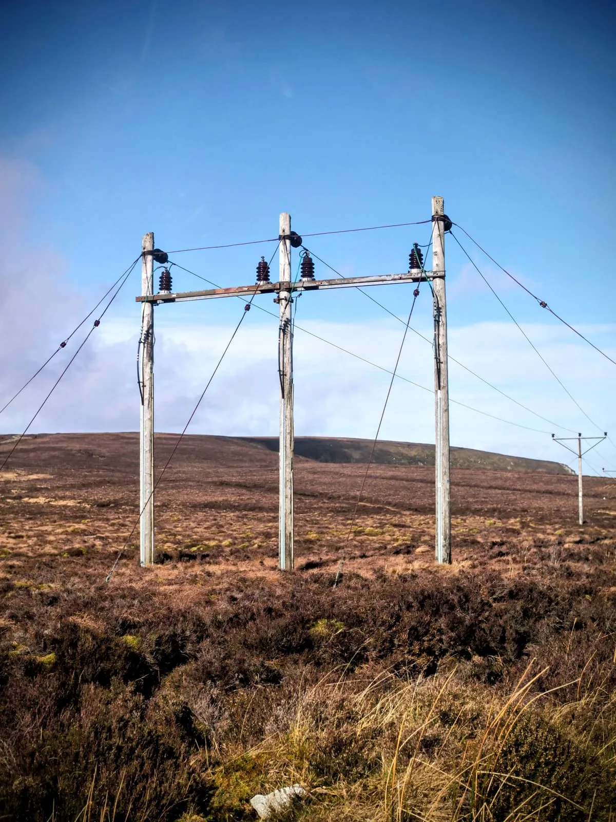 Three wooden power poles on a moor, 2026