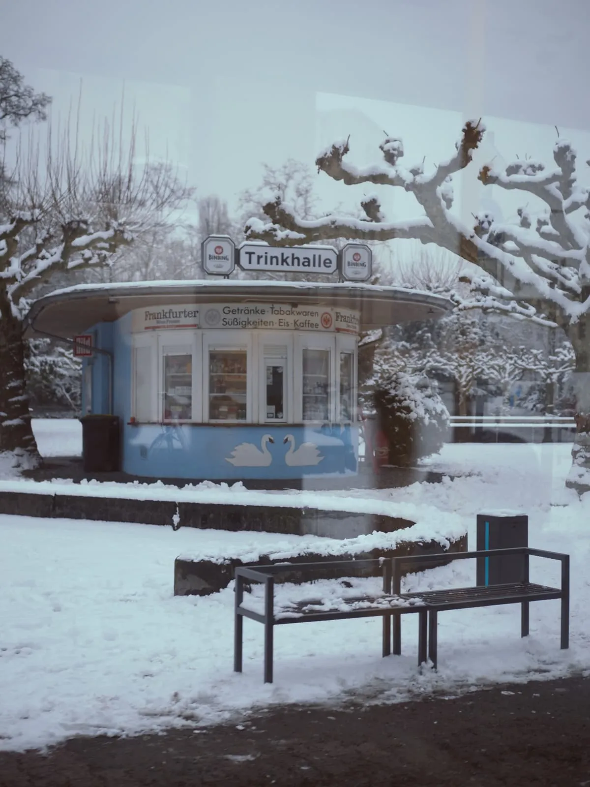 Round kiosk in snow among pollarded trees, 2026