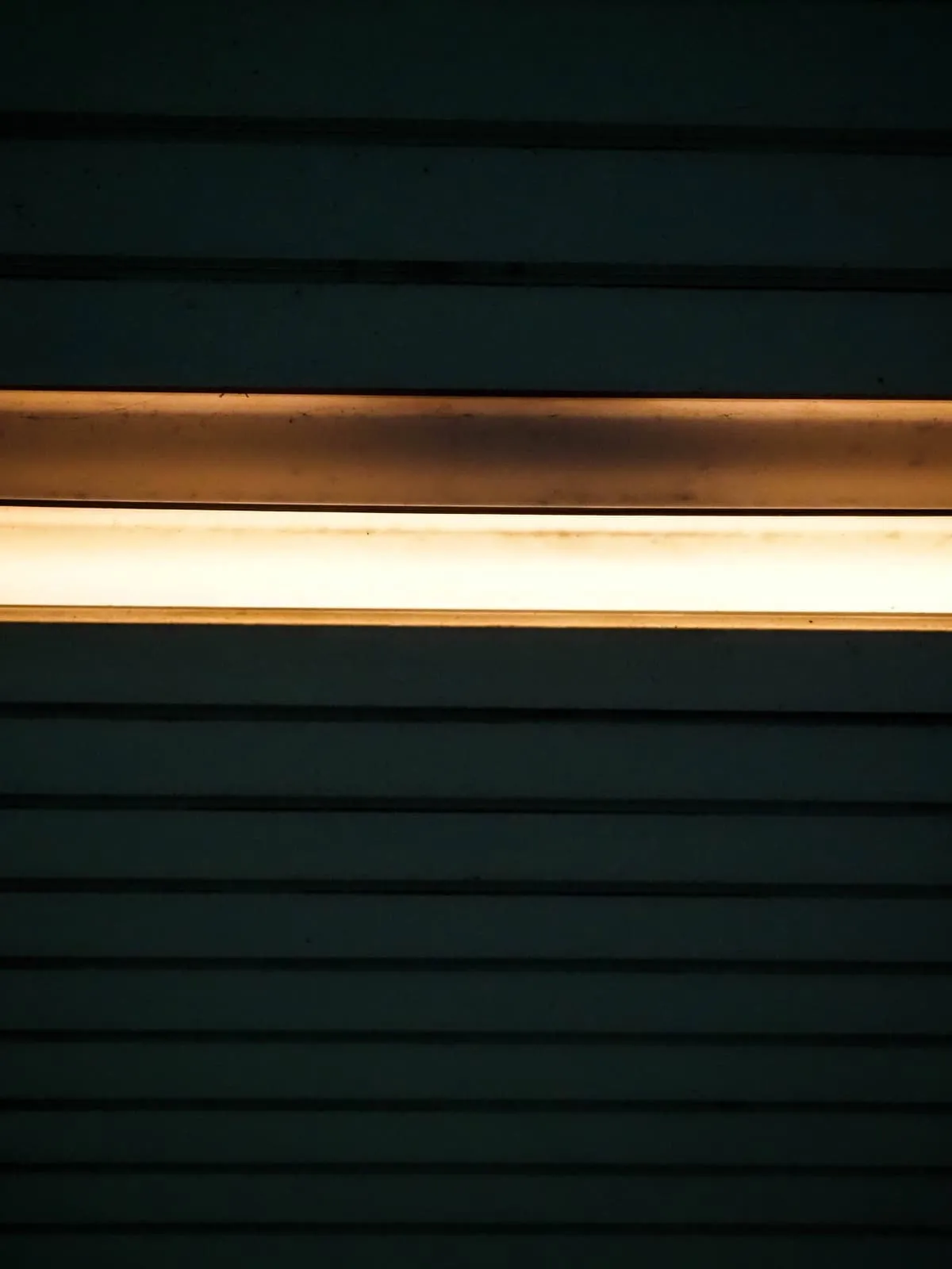 A lit strip between dark green slats, 2020