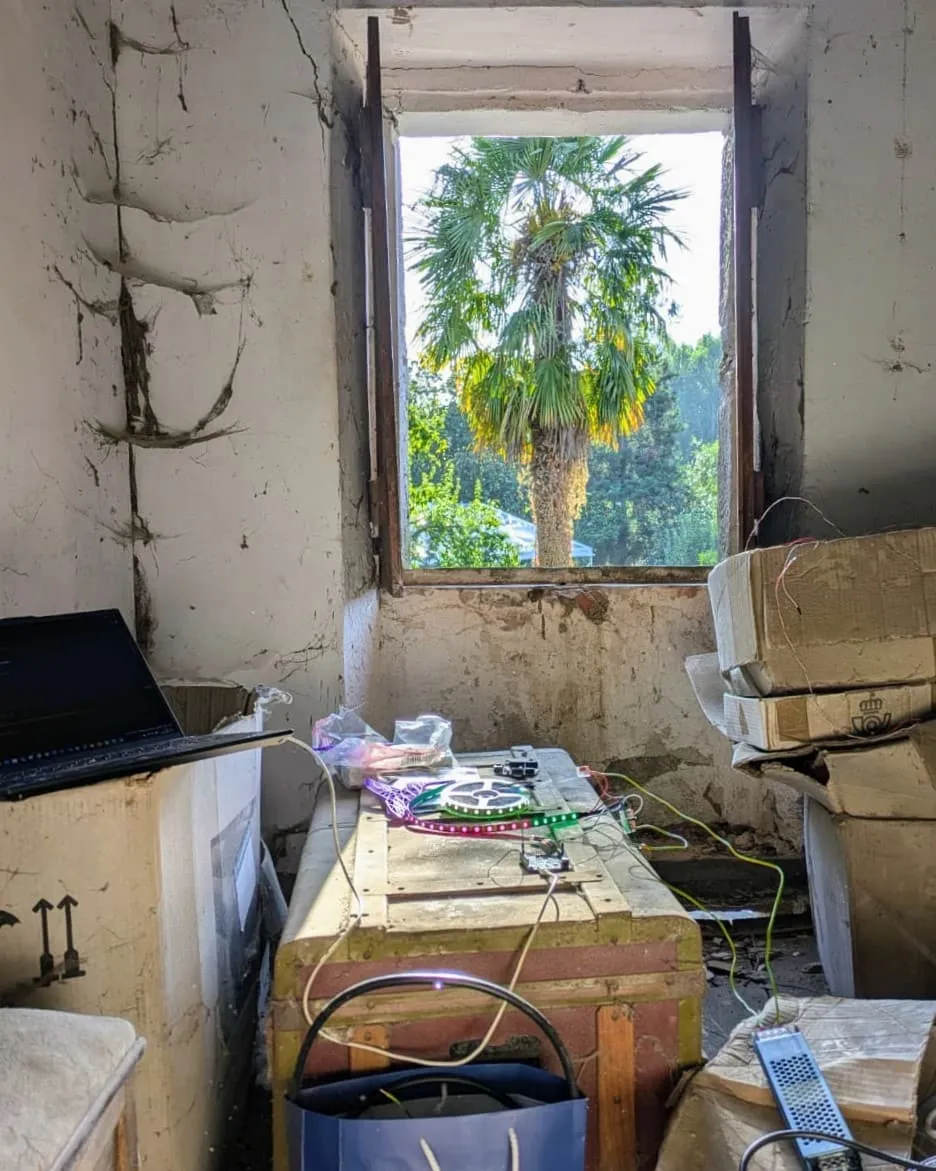 Derelict room with cables and boxes, a palm tree in the window, 2024