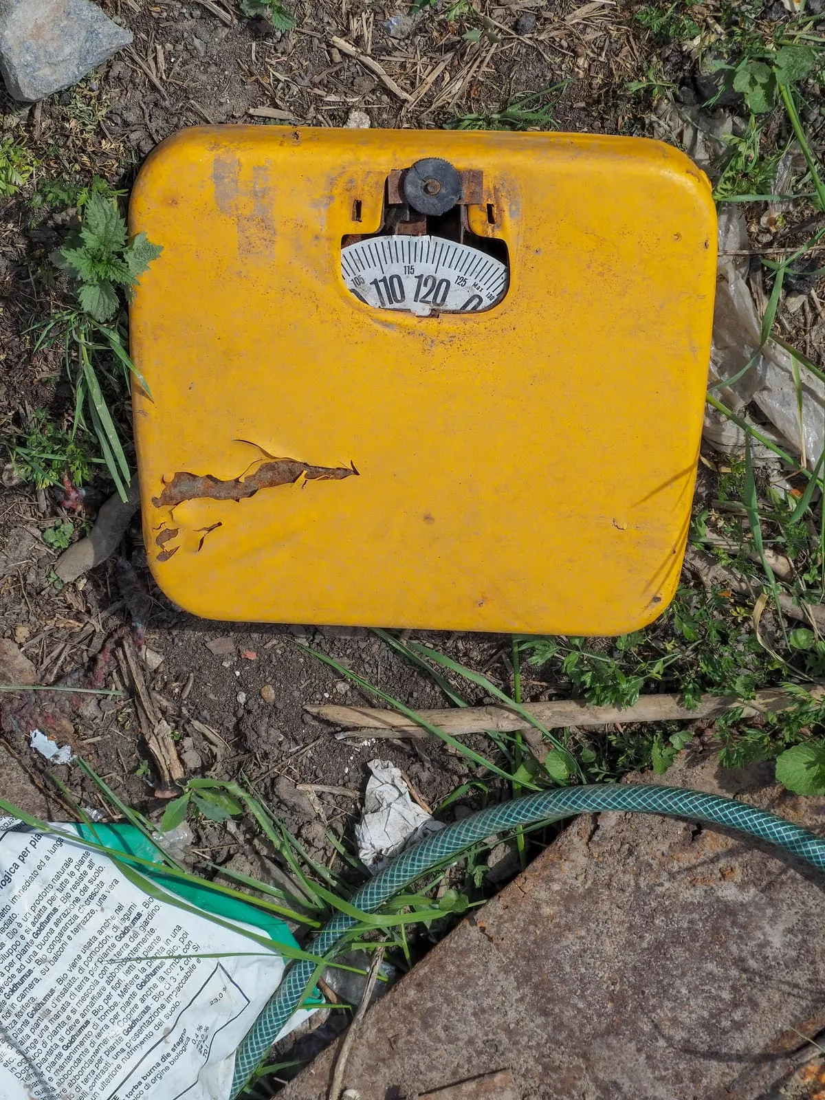 Yellow bathroom scale lying in dirt and weeds, 2020