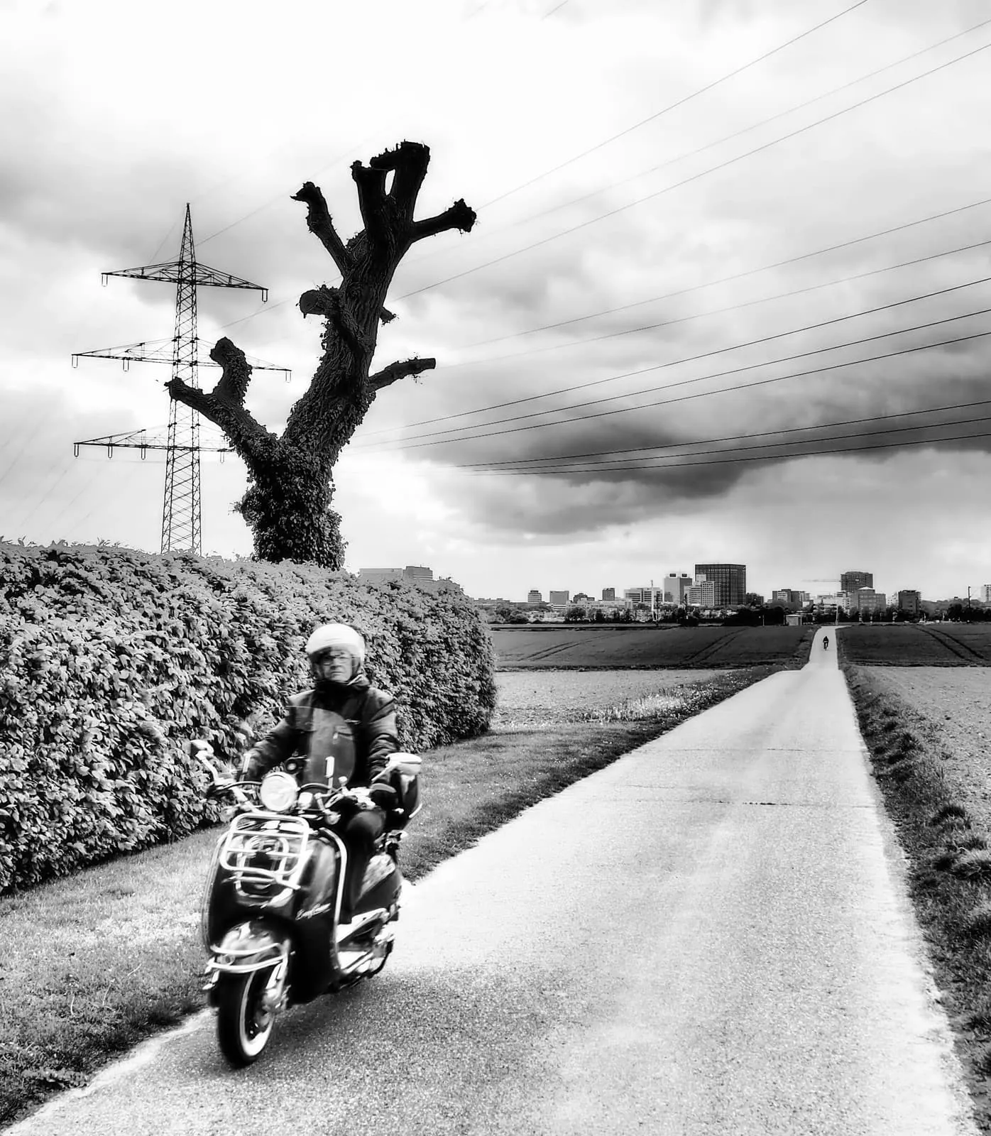 Black and white scooter rider on a path below a pollarded tree