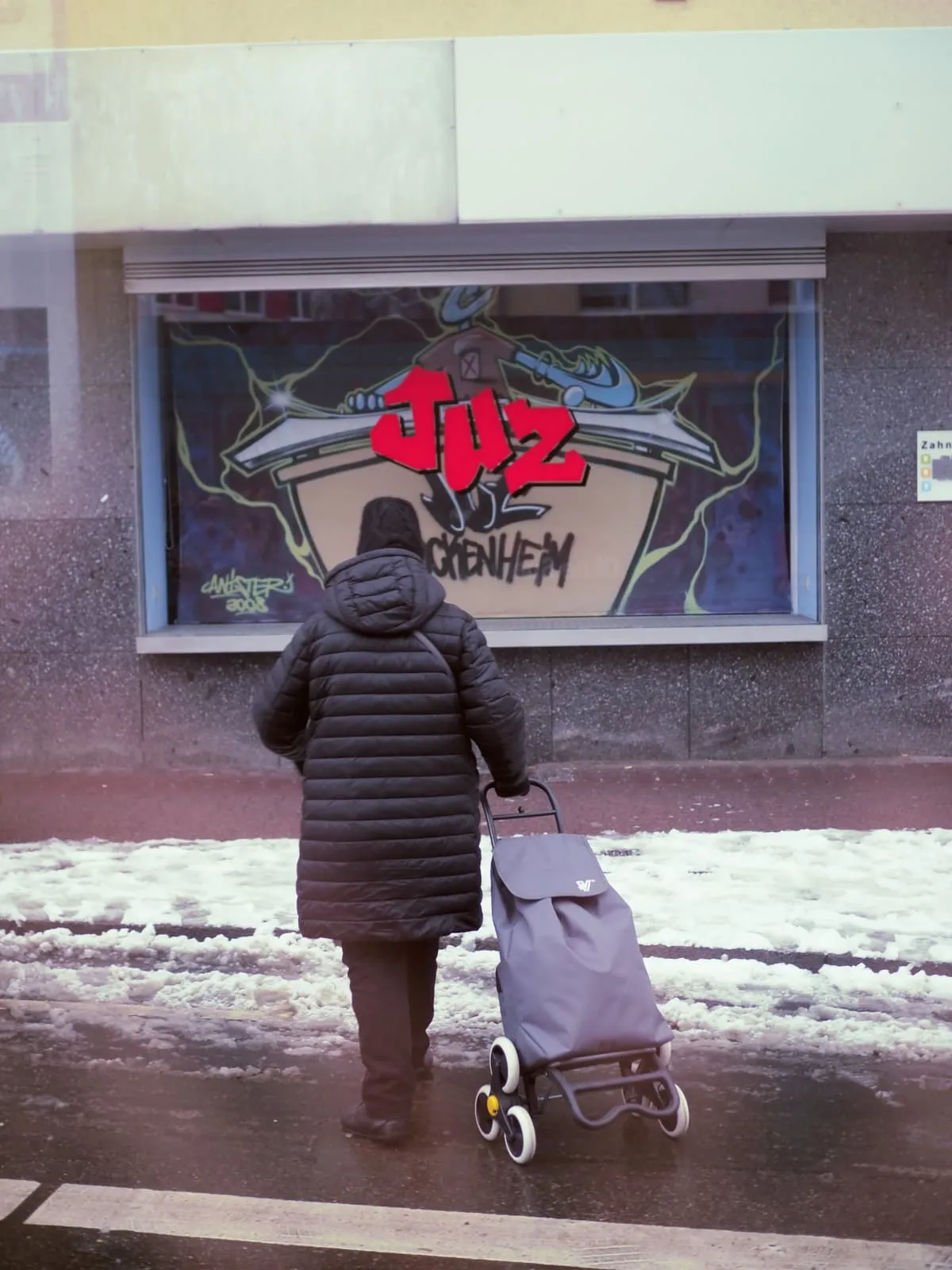 Person in a long coat with a shopping trolley, from behind, in snow, 2026
