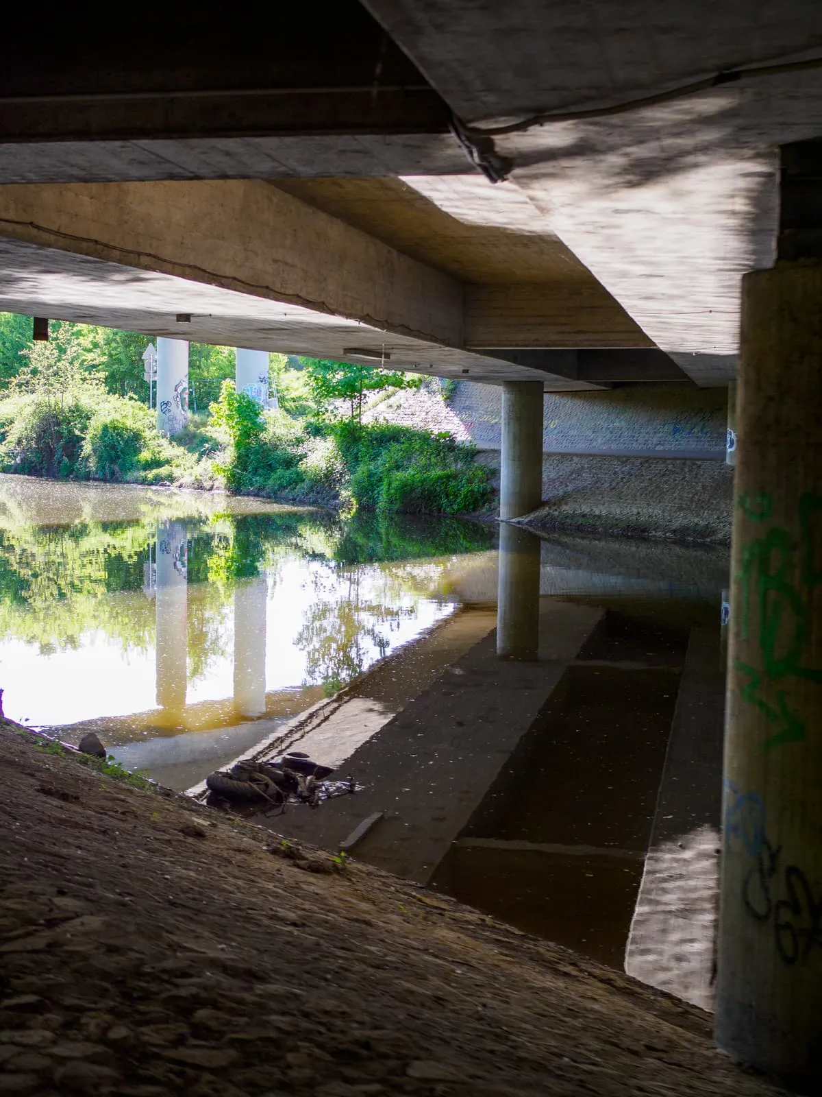 Under a concrete bridge, a river and green bank in sunlight, 2026