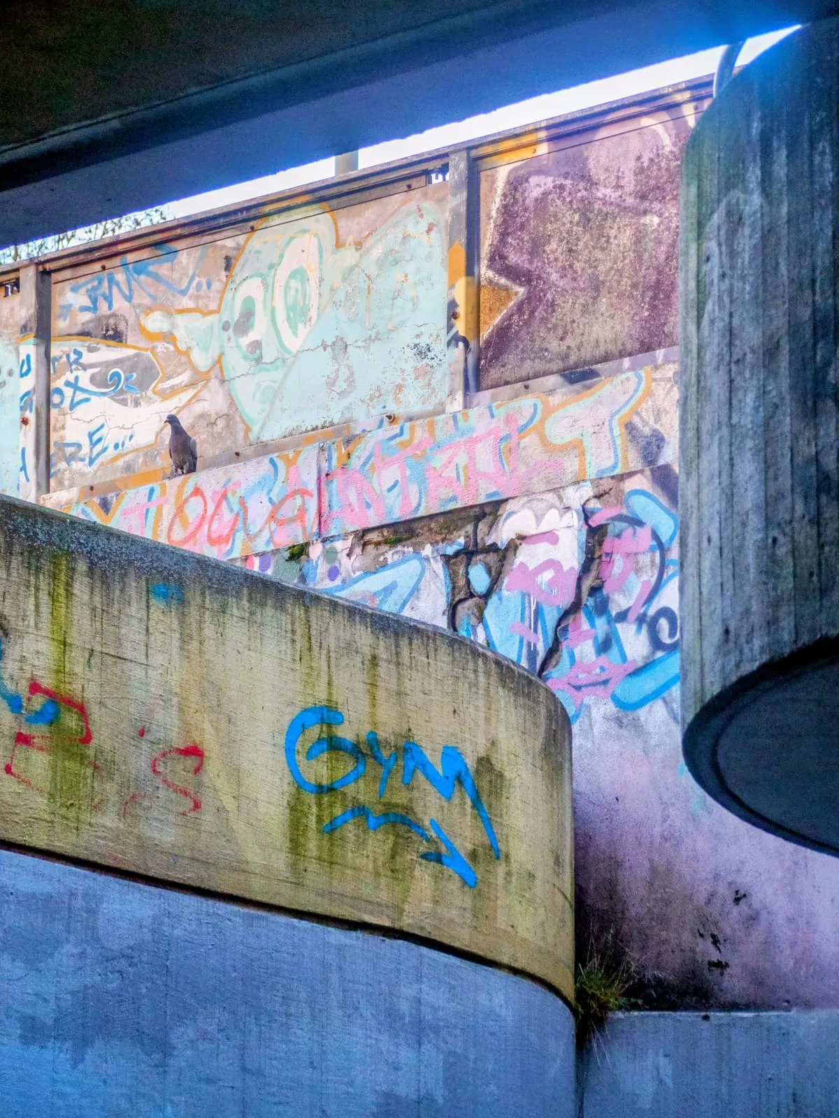Curved concrete ramps with graffiti in blue light, 2025
