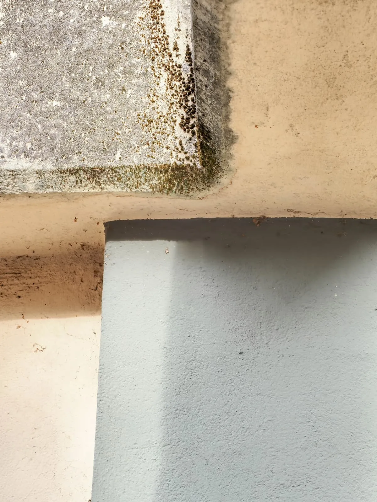 Concrete ledge meeting a pale plastered block, 2020