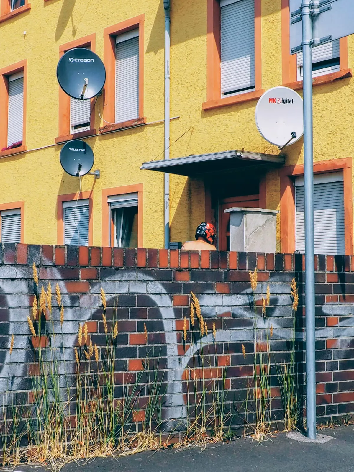 A head showing above a brick wall before a yellow house, 2018