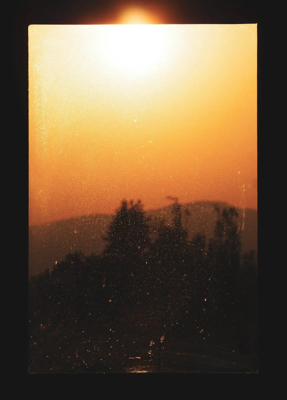 Orange sun over dark treetops seen through a dusty pane, 2019