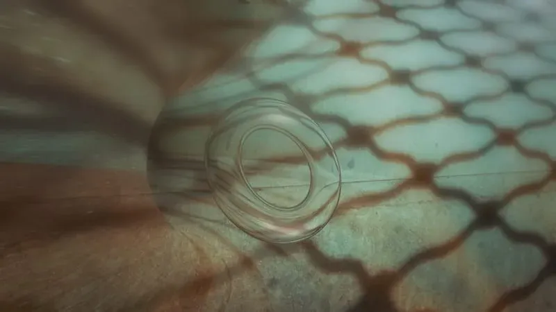 incommensurable_frequencies_attractor_torus_1 — theurbanita💫