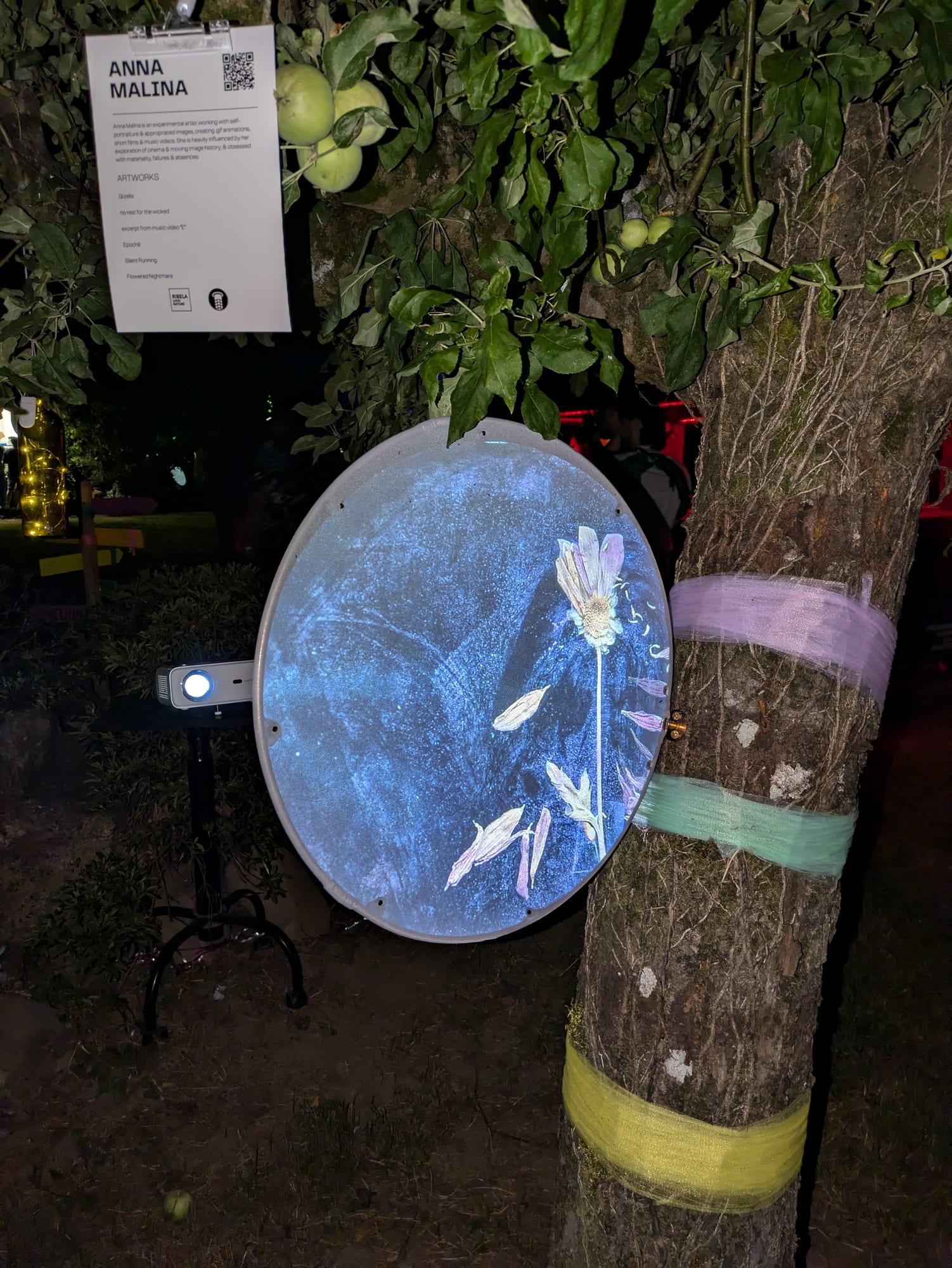 Ribela – Love, Nature, Music & Art Festival, image 5 of 14