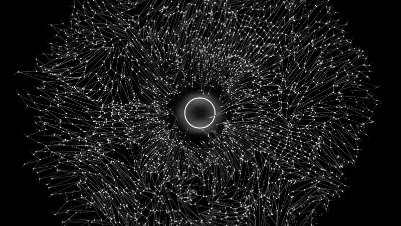 Ocellus - Düzen
