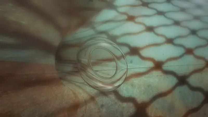 incommensurable_frequencies_attractor_torus_1 - theurbanita💫